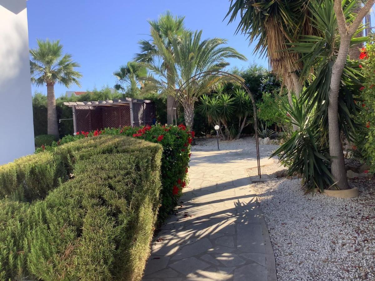 Villa Ambios Peyia Exterior foto